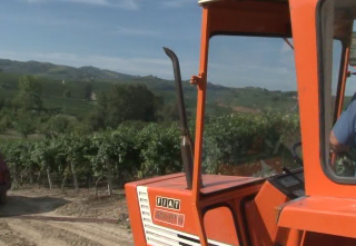 Aumentano i furti di trattori, Coldiretti esprime preoccupazione